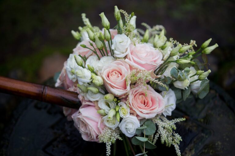 IMG 9988 1 scaled 1 768x512